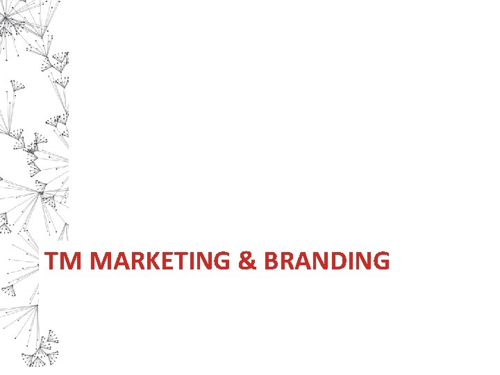 TM MARKETING & BRANDING 