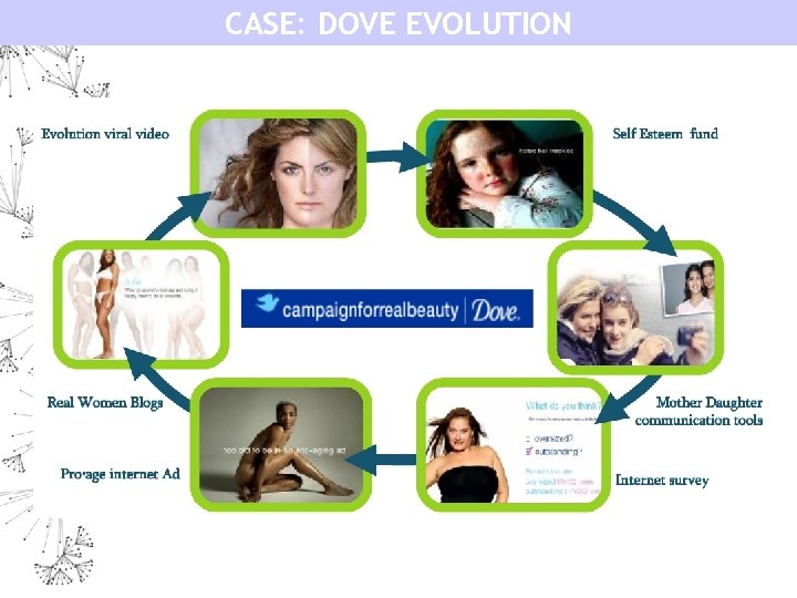 CASE: DOVE EVOLUTION 