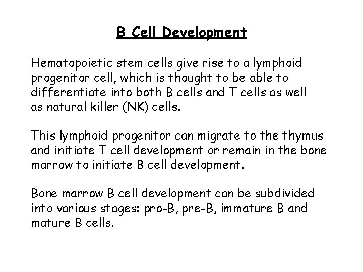 B Cell Development Hematopoietic stem cells give rise to a lymphoid progenitor cell, which