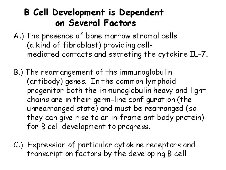 B Cell Development is Dependent on Several Factors A. ) The presence of bone