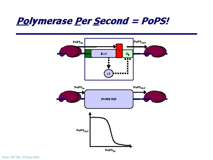 Polymerase Per Second = Po. PS! Po. PSOUT Po. PSIN RBS T l c.