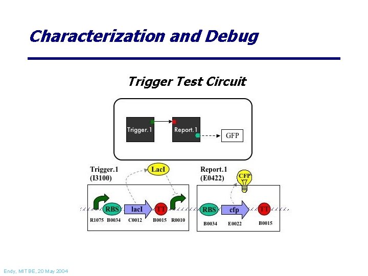 Characterization and Debug Trigger Test Circuit Endy, MIT BE, 20 May 2004 