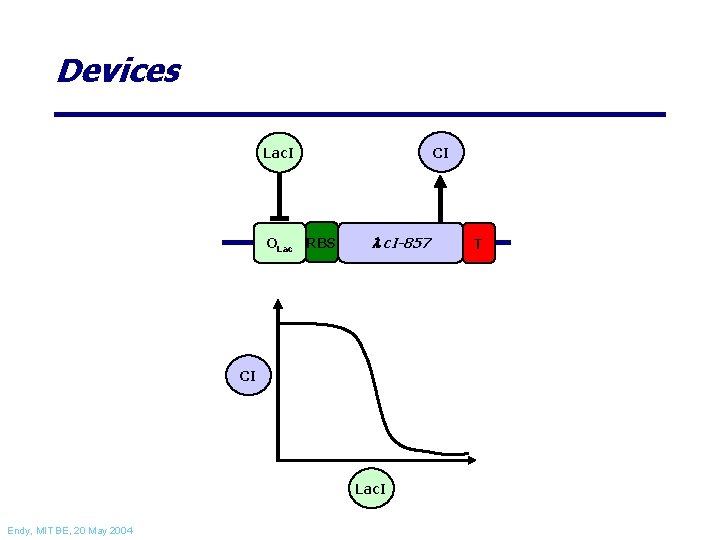 Devices CI Lac. I OLac RBS l c. I-857 CI Lac. I Endy, MIT