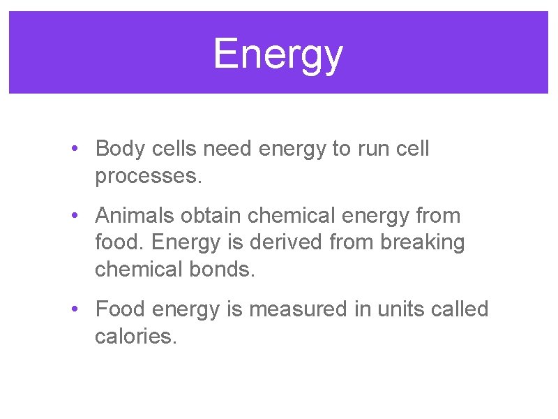 Energy • Body cells need energy to run cell processes. • Animals obtain chemical
