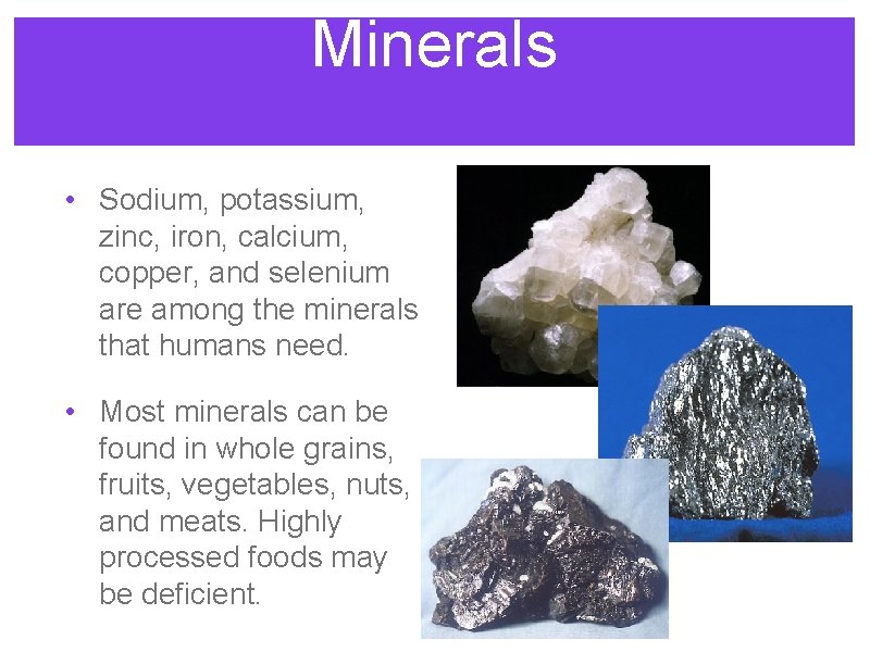 Minerals • Sodium, potassium, zinc, iron, calcium, copper, and selenium are among the minerals