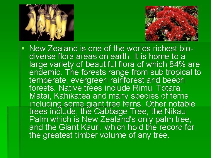 Flora § New Zealand is one of the worlds richest biodiverse flora areas on