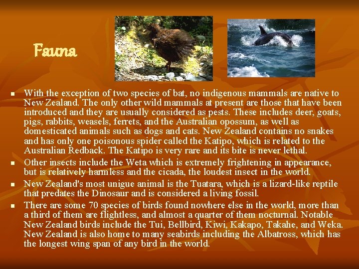Fauna n n With the exception of two species of bat, no indigenous mammals