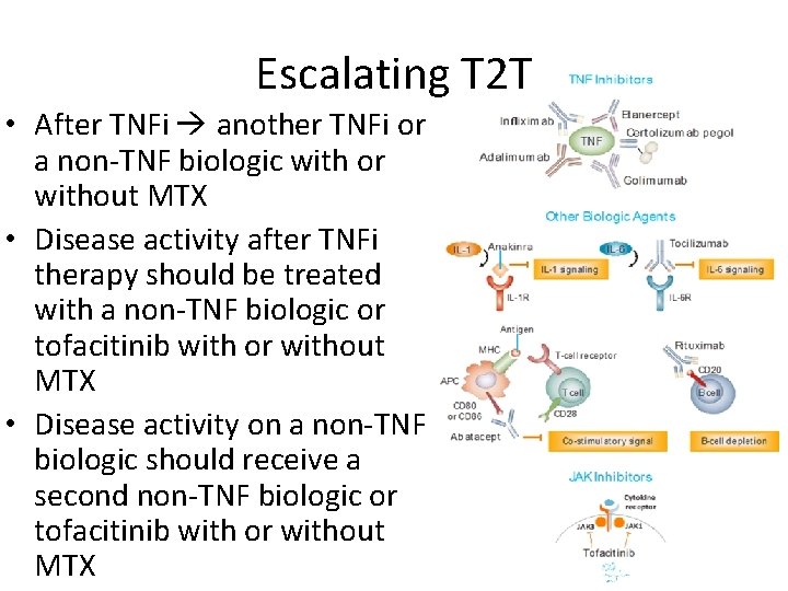 Escalating T 2 T • After TNFi another TNFi or a non-TNF biologic with