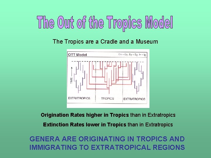 The Tropics are a Cradle and a Museum Origination Rates higher in Tropics than
