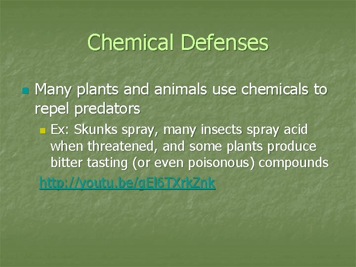 Chemical Defenses n Many plants and animals use chemicals to repel predators Ex: Skunks