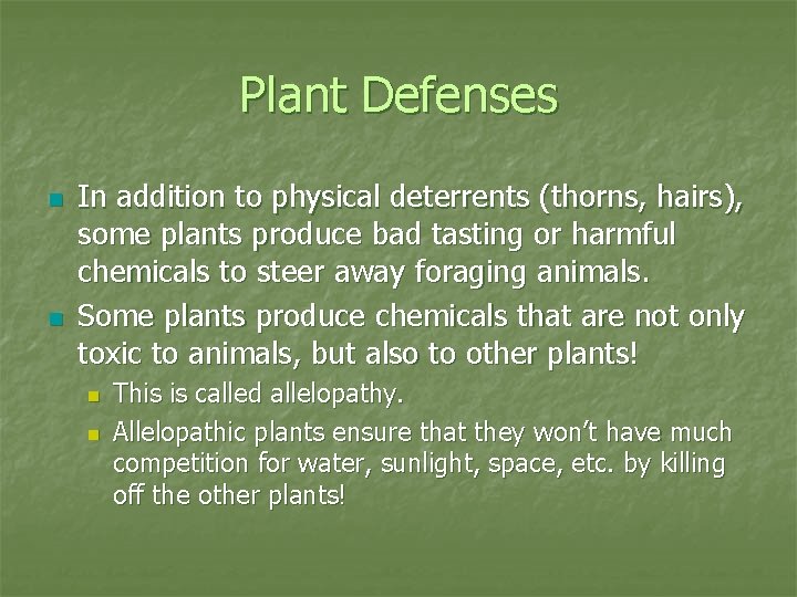 Plant Defenses n n In addition to physical deterrents (thorns, hairs), some plants produce