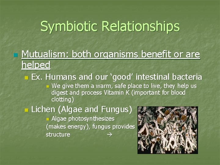 Symbiotic Relationships n Mutualism: both organisms benefit or are helped n Ex. Humans and