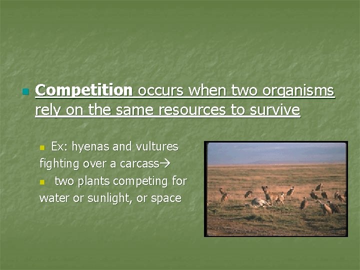 n Competition occurs when two organisms rely on the same resources to survive Ex: