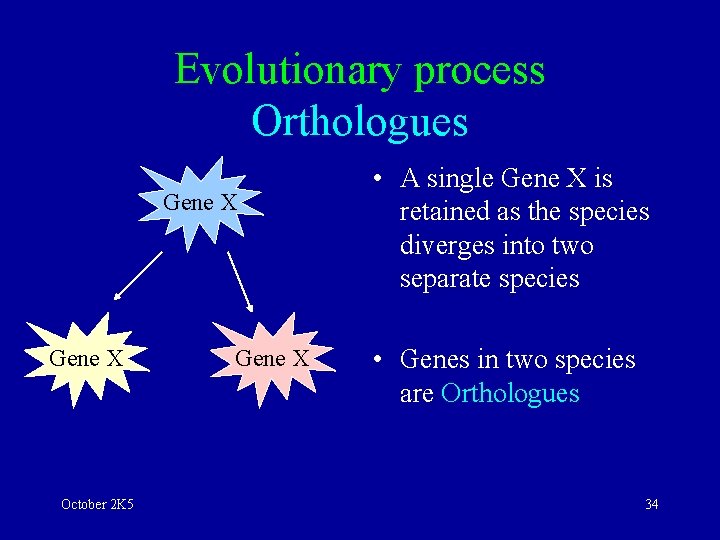 Evolutionary process Orthologues Gene X October 2 K 5 Gene X • A single