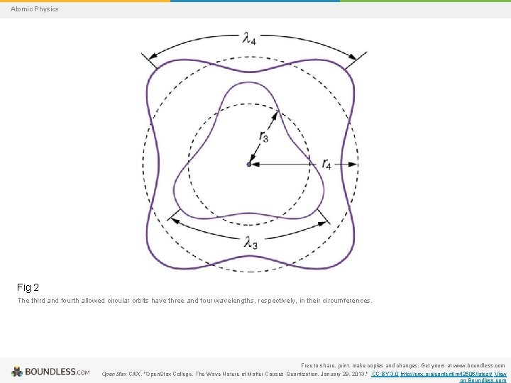 Atomic Physics Fig 2 The third and fourth allowed circular orbits have three and