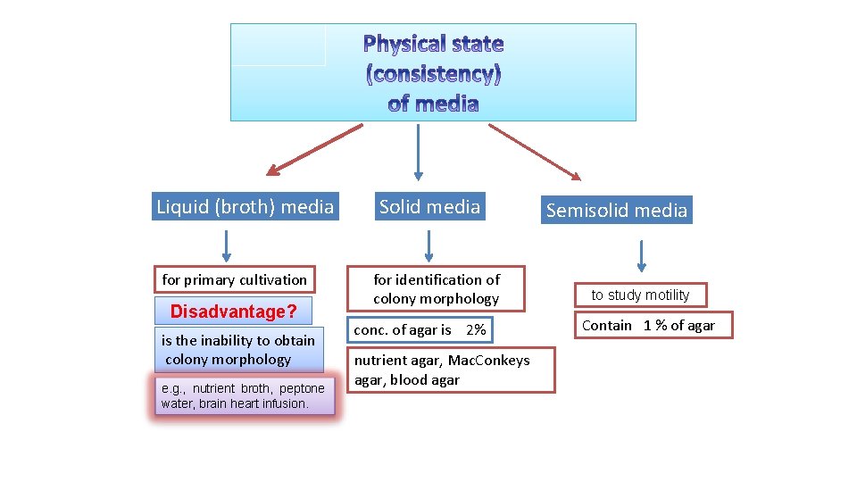 Liquid (broth) media for primary cultivation Disadvantage? is the inability to obtain colony morphology