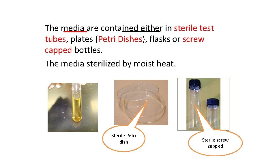 The media are contained either in sterile test tubes, plates (Petri Dishes), flasks or