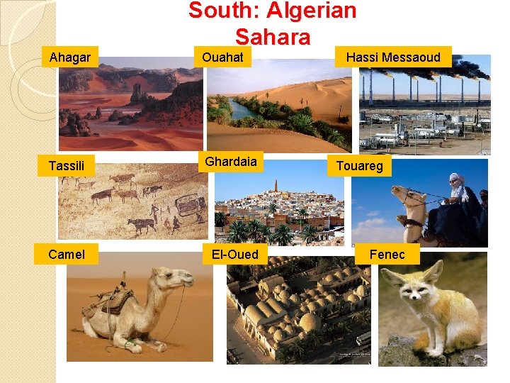 Ahagar South: Algerian Sahara Ouahat Tassili Ghardaia Camel El-Oued Hassi Messaoud Touareg Fenec 