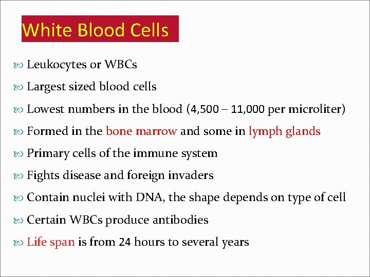 White Blood Cells Leukocytes or WBCs Largest sized blood cells Lowest numbers in the