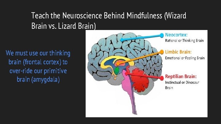 Teach the Neuroscience Behind Mindfulness (Wizard Brain vs. Lizard Brain) We must use our