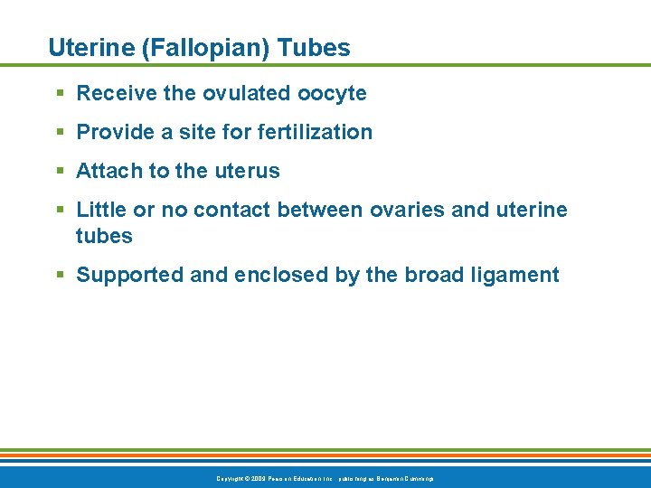 Uterine (Fallopian) Tubes § Receive the ovulated oocyte § Provide a site for fertilization