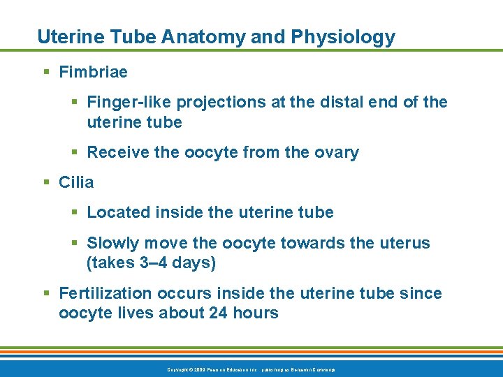 Uterine Tube Anatomy and Physiology § Fimbriae § Finger-like projections at the distal end