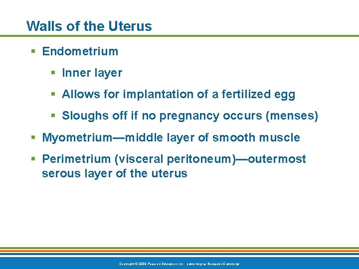Walls of the Uterus § Endometrium § Inner layer § Allows for implantation of