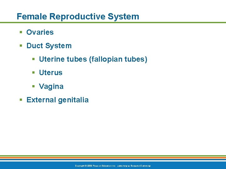 Female Reproductive System § Ovaries § Duct System § Uterine tubes (fallopian tubes) §