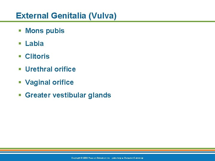 External Genitalia (Vulva) § Mons pubis § Labia § Clitoris § Urethral orifice §