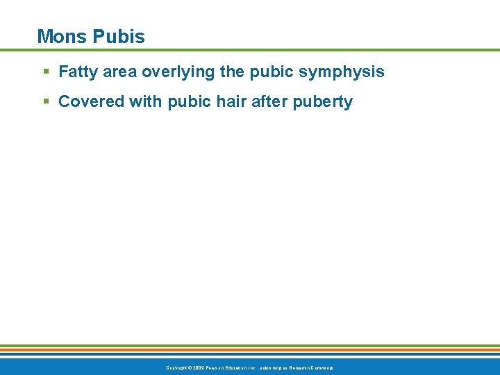 Mons Pubis § Fatty area overlying the pubic symphysis § Covered with pubic hair