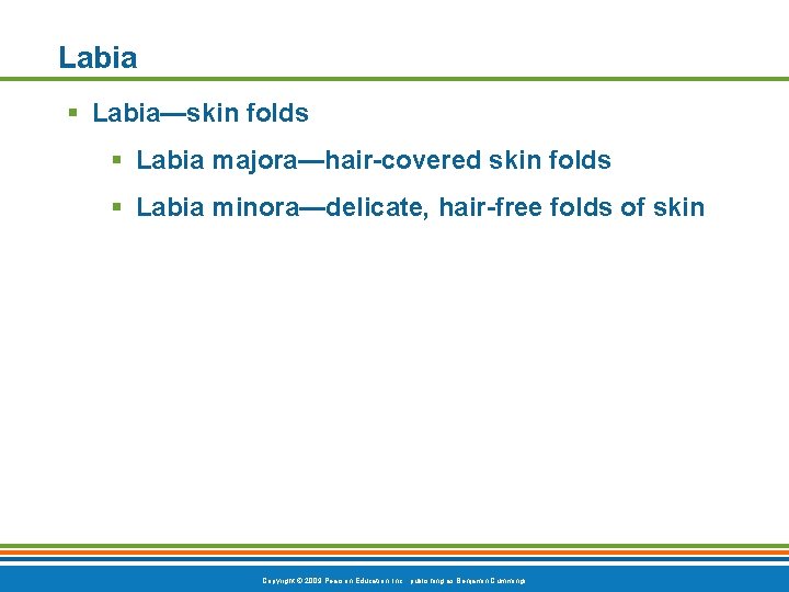 Labia § Labia—skin folds § Labia majora—hair-covered skin folds § Labia minora—delicate, hair-free folds