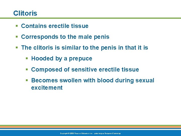 Clitoris § Contains erectile tissue § Corresponds to the male penis § The clitoris