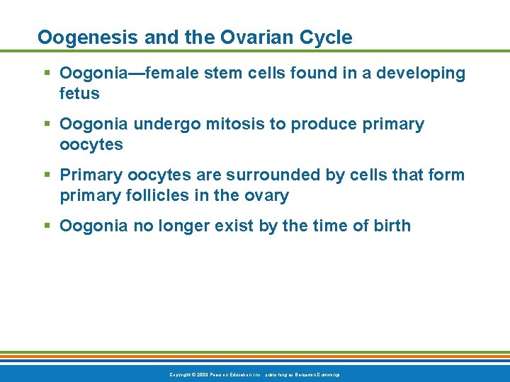 Oogenesis and the Ovarian Cycle § Oogonia—female stem cells found in a developing fetus