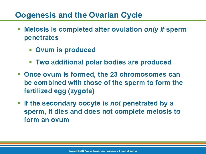 Oogenesis and the Ovarian Cycle § Meiosis is completed after ovulation only if sperm