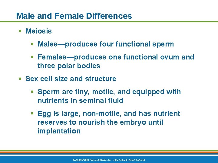 Male and Female Differences § Meiosis § Males—produces four functional sperm § Females—produces one