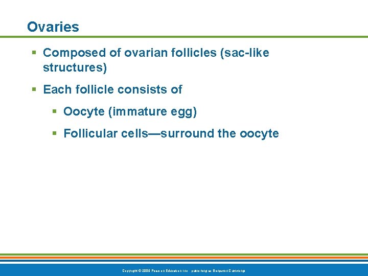 Ovaries § Composed of ovarian follicles (sac-like structures) § Each follicle consists of §