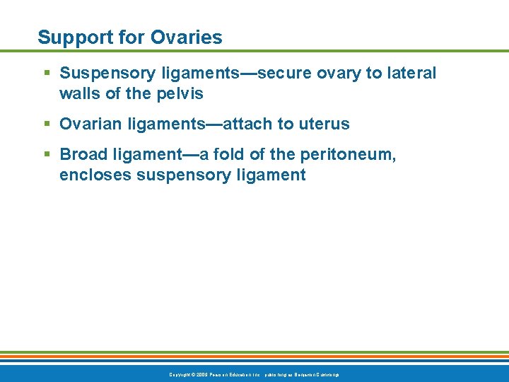 Support for Ovaries § Suspensory ligaments—secure ovary to lateral walls of the pelvis §