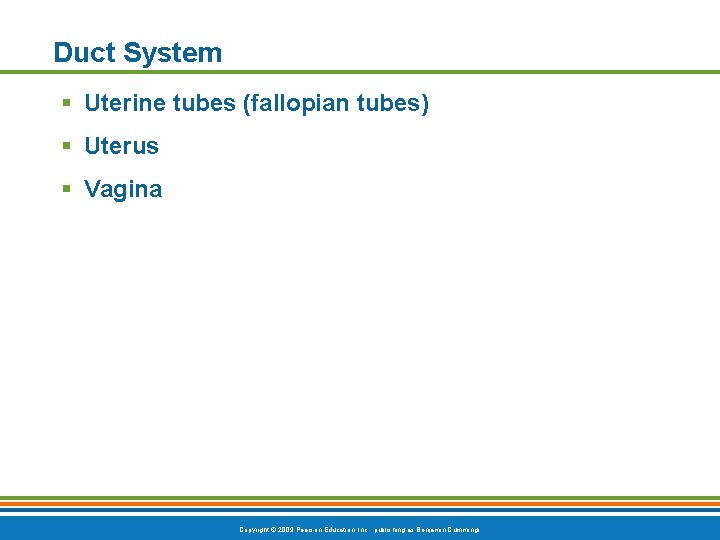 Duct System § Uterine tubes (fallopian tubes) § Uterus § Vagina Copyright © 2009