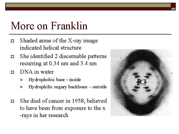 More on Franklin o o o Shaded areas of the X-ray image indicated helical