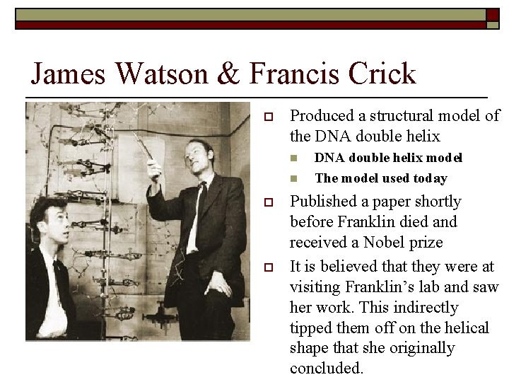 James Watson & Francis Crick o Produced a structural model of the DNA double