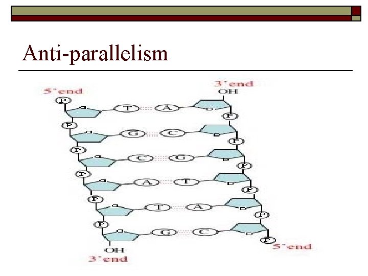 Anti-parallelism 