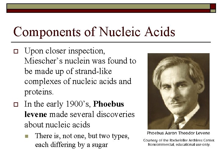 Components of Nucleic Acids o o Upon closer inspection, Miescher’s nuclein was found to