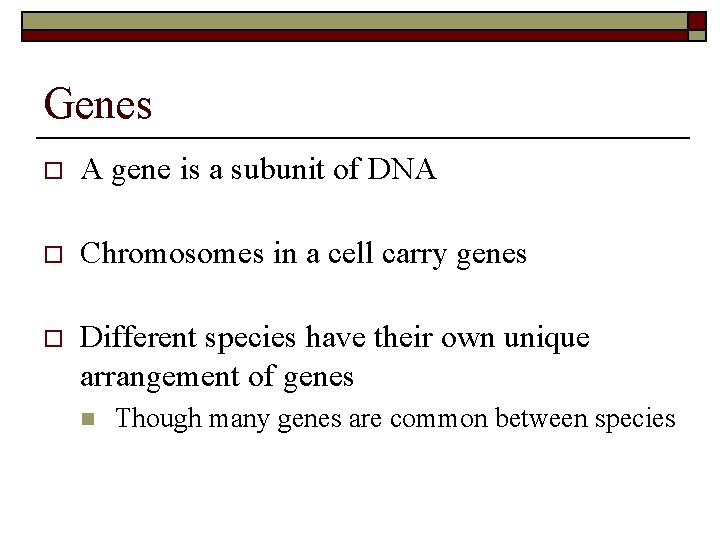 Genes o A gene is a subunit of DNA o Chromosomes in a cell