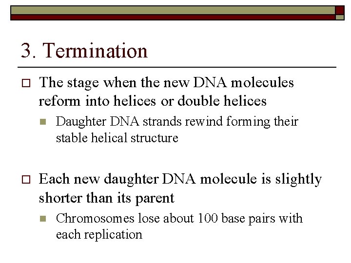 3. Termination o The stage when the new DNA molecules reform into helices or