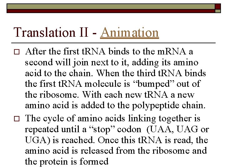 Translation II - Animation o o After the first t. RNA binds to the