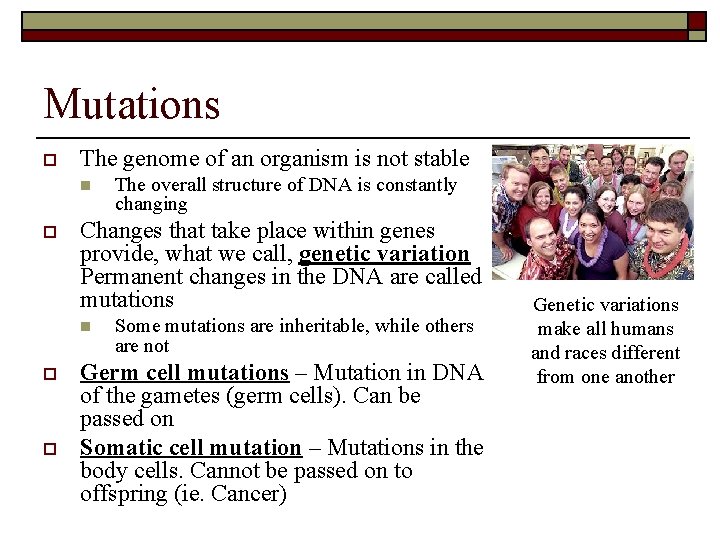 Mutations o The genome of an organism is not stable n o Changes that