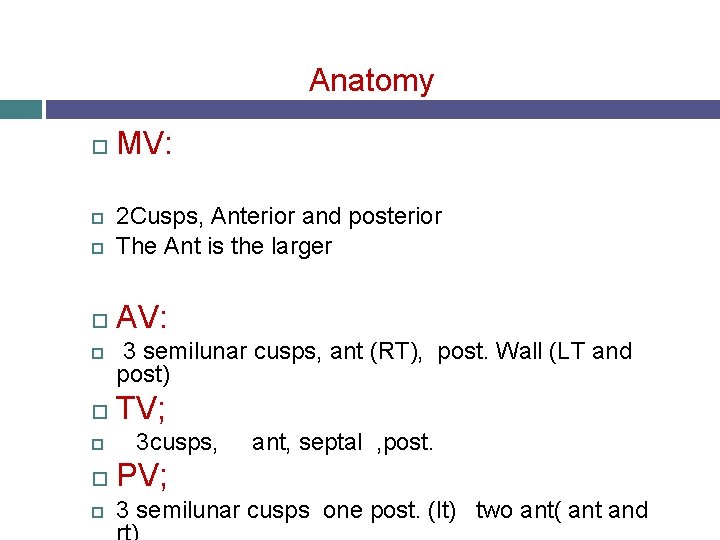 Anatomy MV: 2 Cusps, Anterior and posterior The Ant is the larger AV: 3