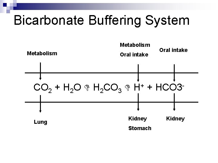 Bicarbonate Buffering System Metabolism Oral intake CO 2 + H 2 O H 2 Bicarbonate Buffering System Metabolism Oral intake CO 2 + H 2 O H 2