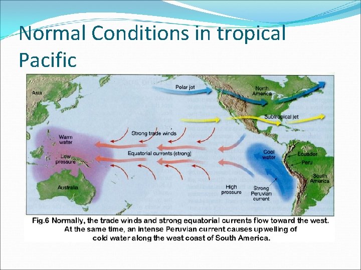 Normal Conditions in tropical Pacific 