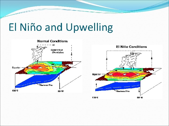 El Niño and Upwelling 